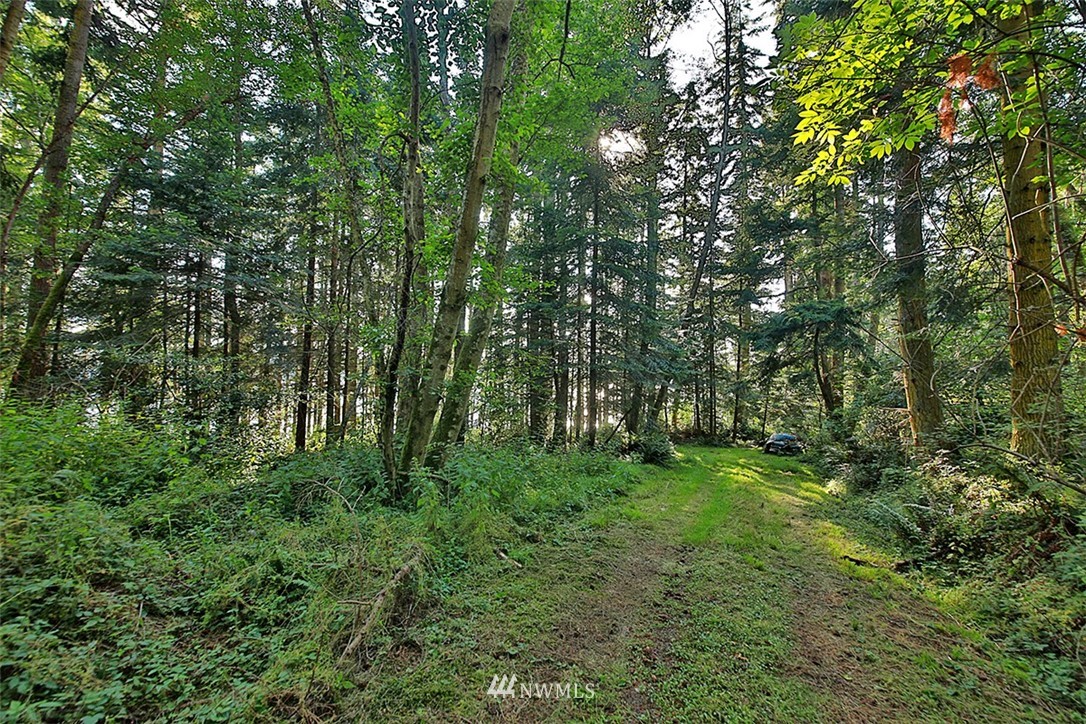 4420 East Harbor Road Freeland, WA 98249 - Photo 10 of 40 Gallery Image 10