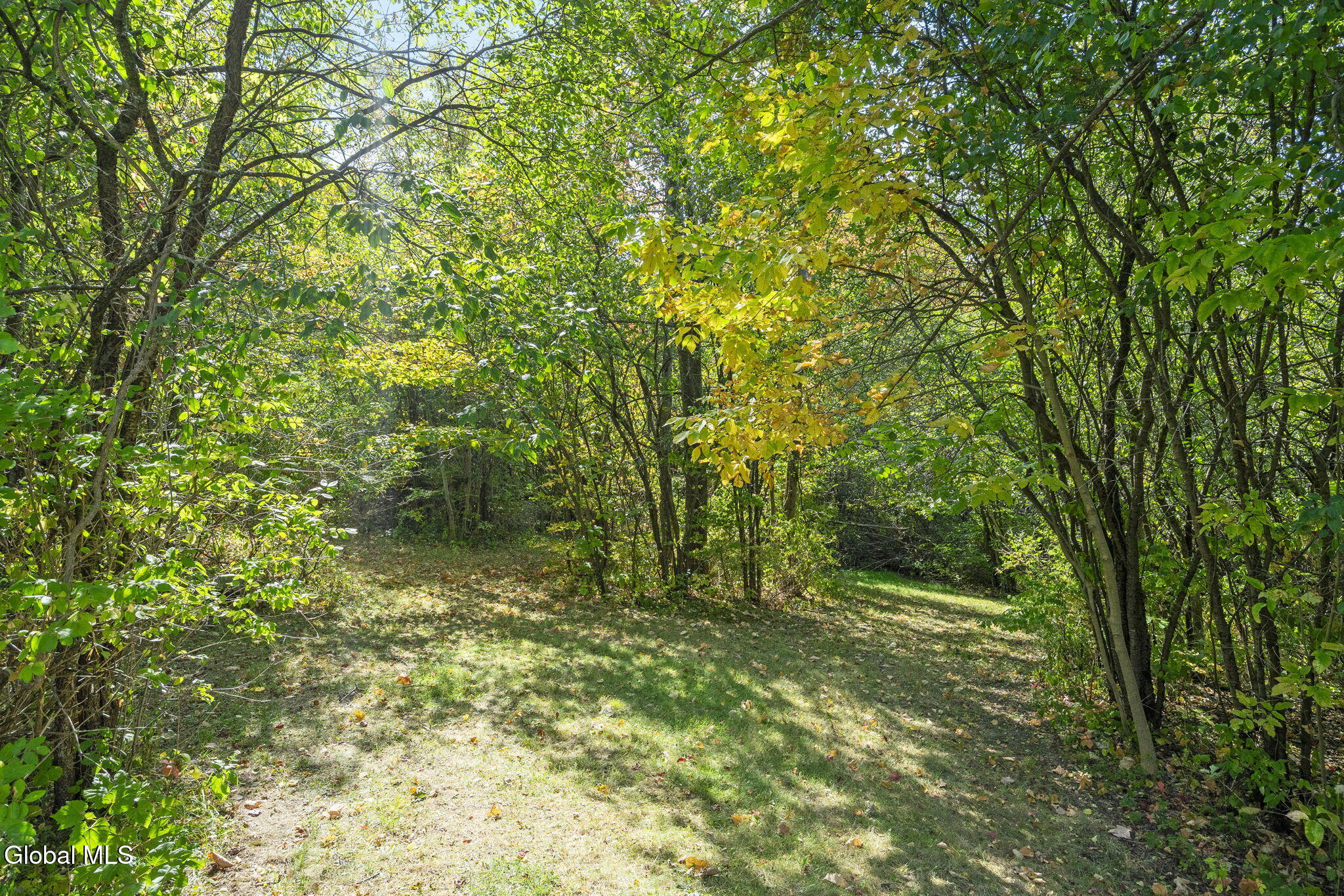827 Rector Road Glenville, NY 12302 - Photo 41 of 46 6-web-or-mls-827-rector-rd