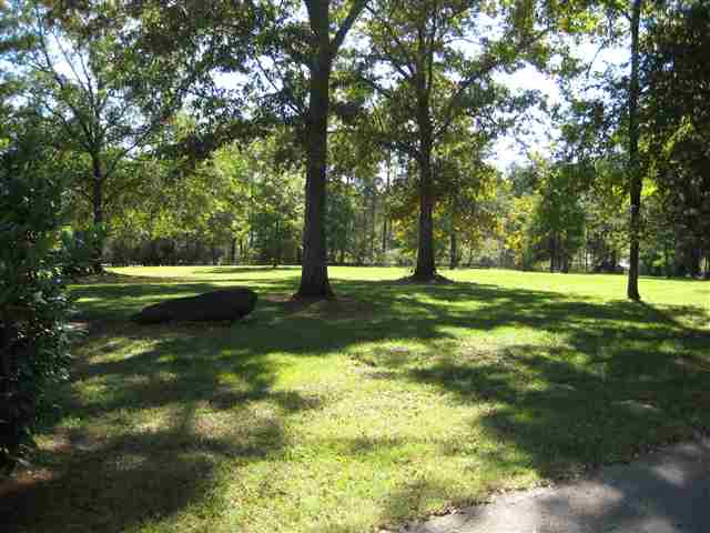 141 Mill Creek Road Central, SC 29630 - Photo 14 of 25 Gallery Image 14