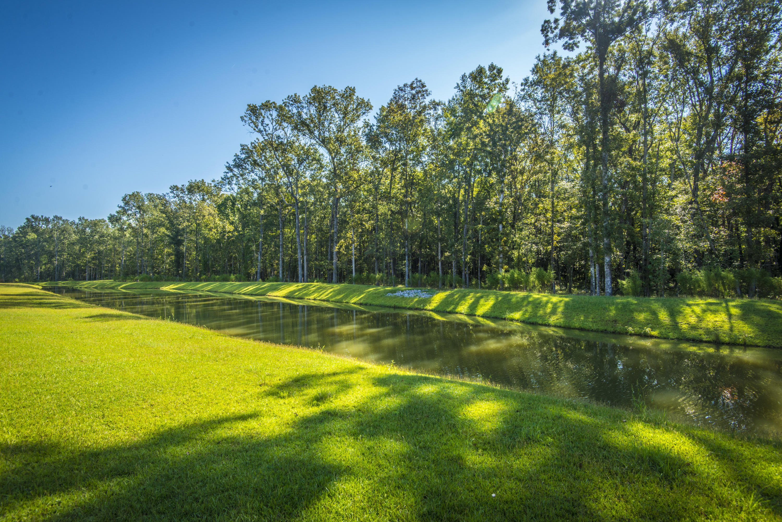 131 Nolin Road Moncks Corner, SC 29461 - Photo 35 of 42 Pond Lot