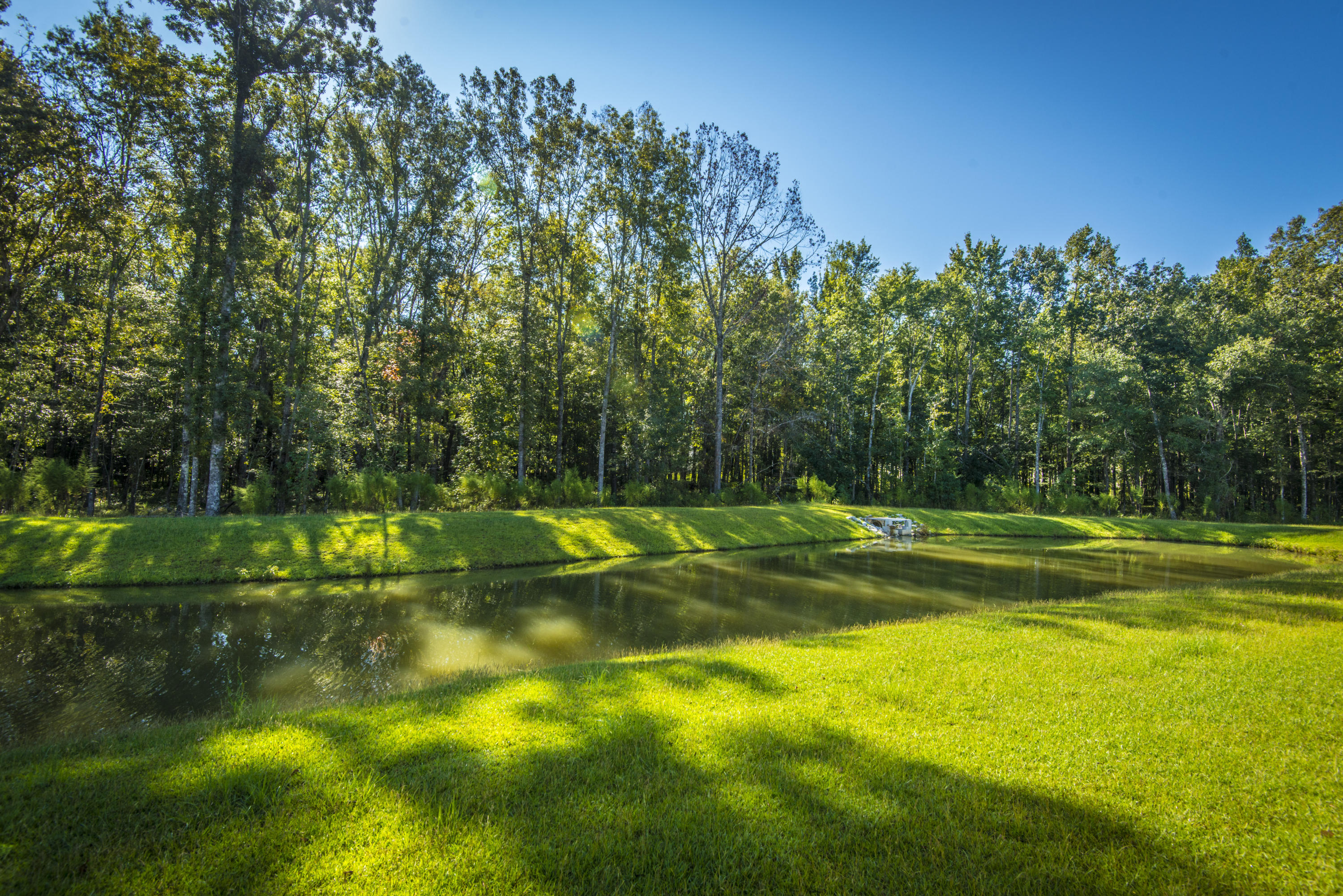 131 Nolin Road Moncks Corner, SC 29461 - Photo 36 of 42 Pond Lot