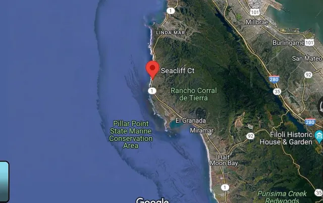 a picture of a door and a tree