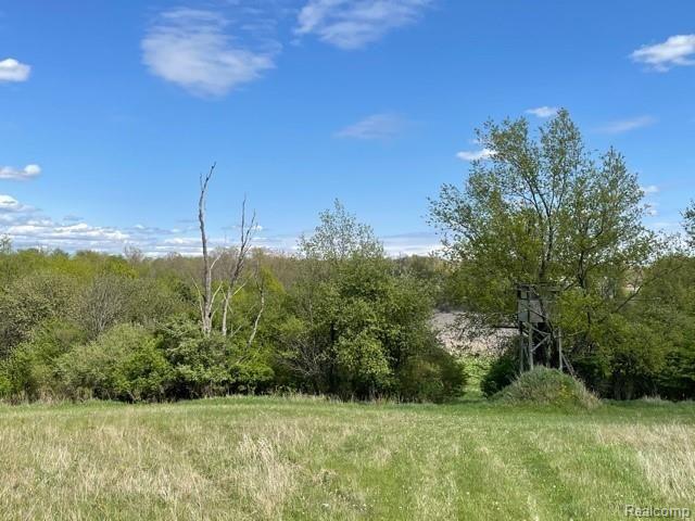 7085 Dutch Road Goodrich, MI 48438 - Photo 12 of 13
