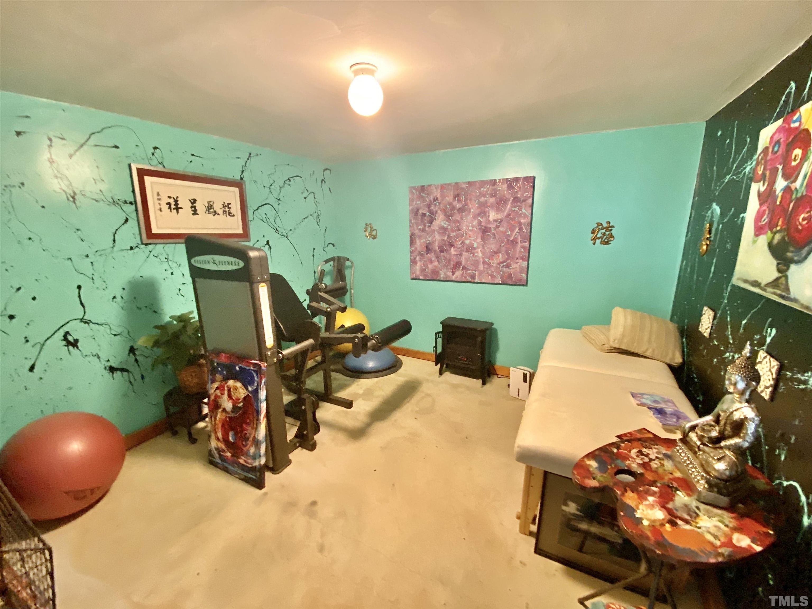 533 Enon Road Oxford, NC 27565 - Photo 42 of 95 a view of a room with gym equipment