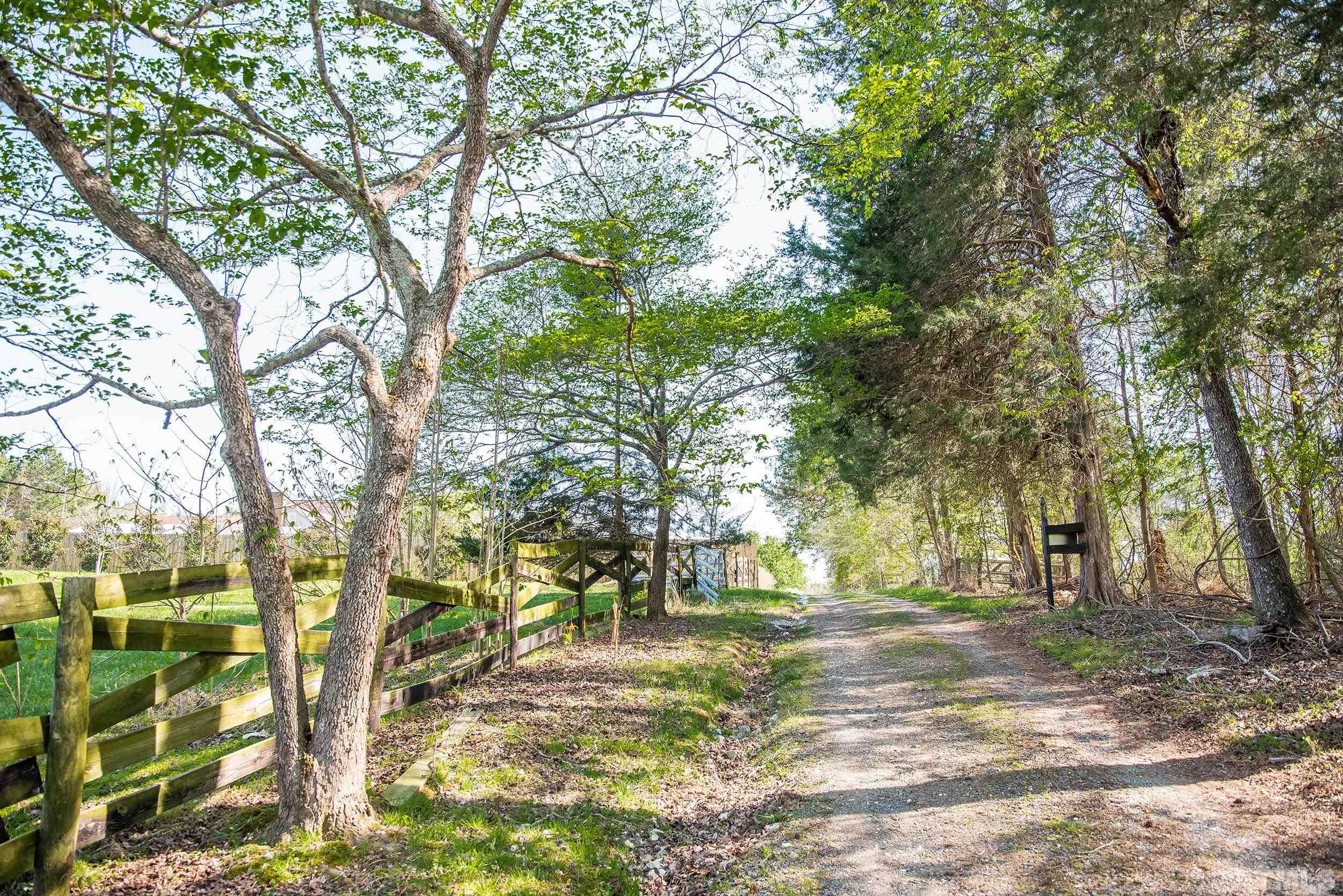 533 Enon Road Oxford, NC 27565 - Photo 93 of 95 a view of yard with trees