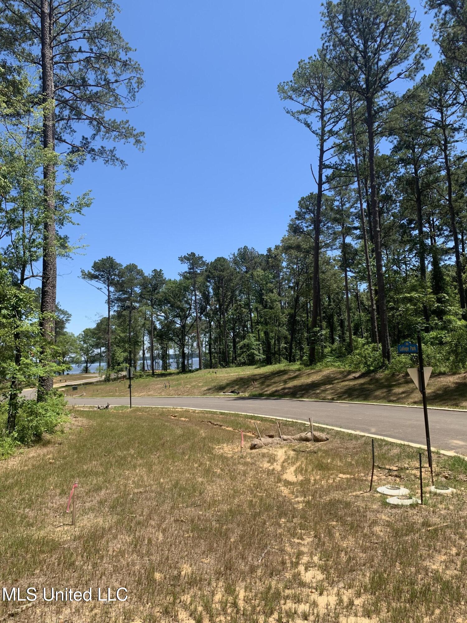 107 Calliope Park Canton, MS 39046 - Photo 3 of 11 Expedition Point Calliope general view
