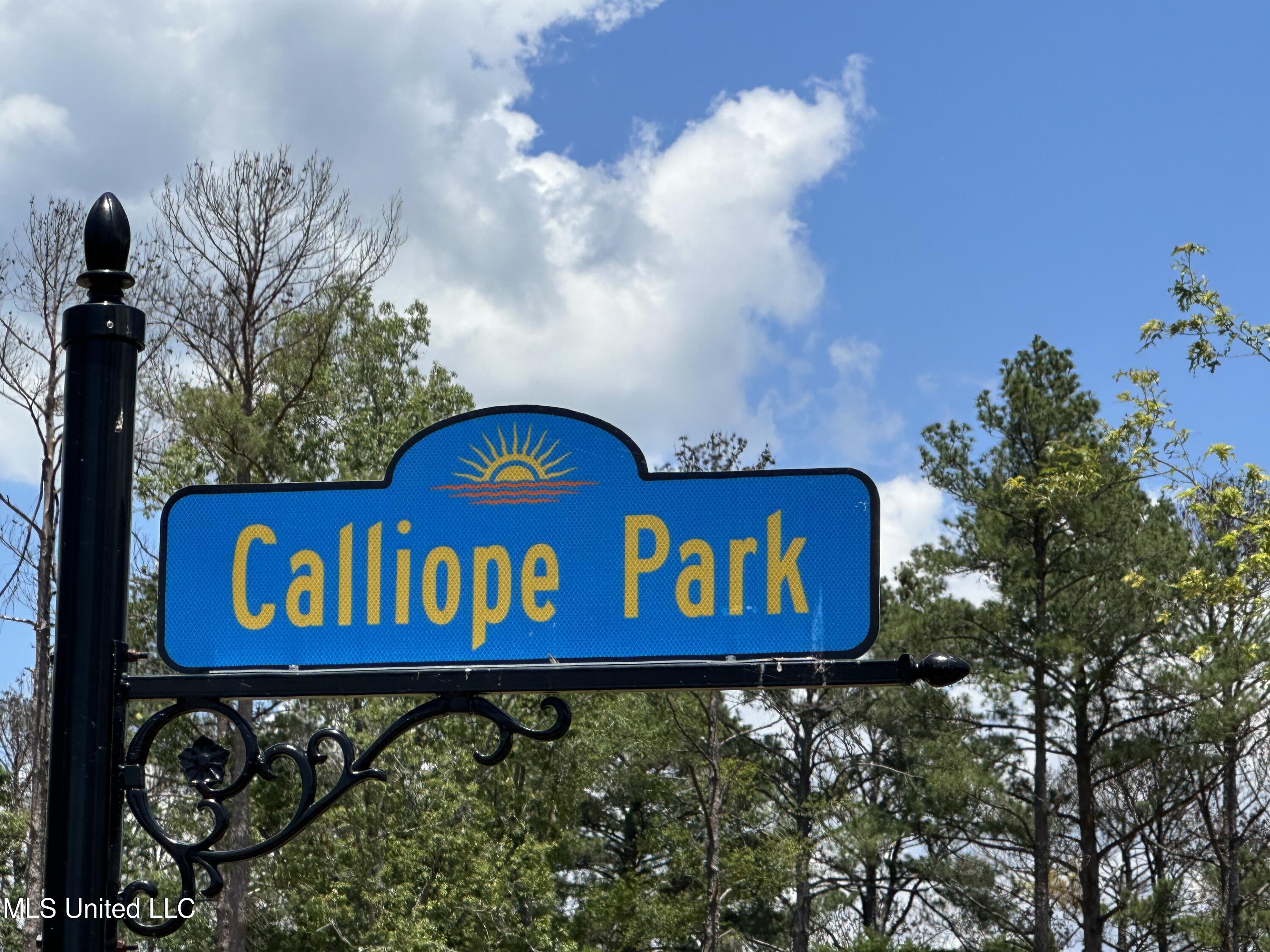 107 Calliope Park Canton, MS 39046 - Photo 4 of 11 Expedition Point Calliope Sign