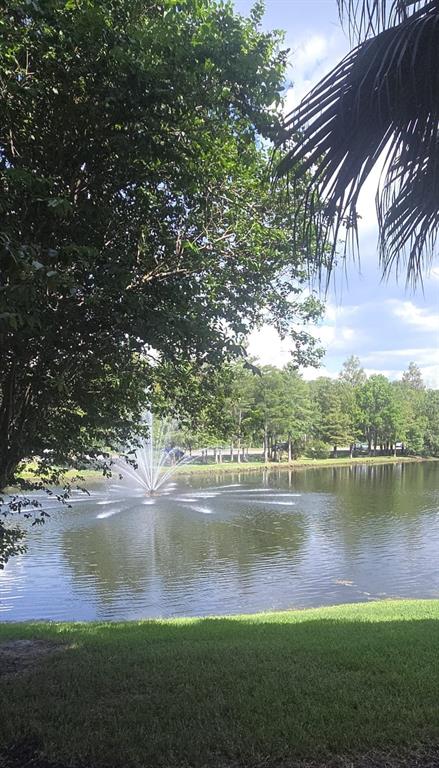 13584 Turtle Marsh Loop, Unit 121 Orlando, FL 32837 - Photo 35 of 42