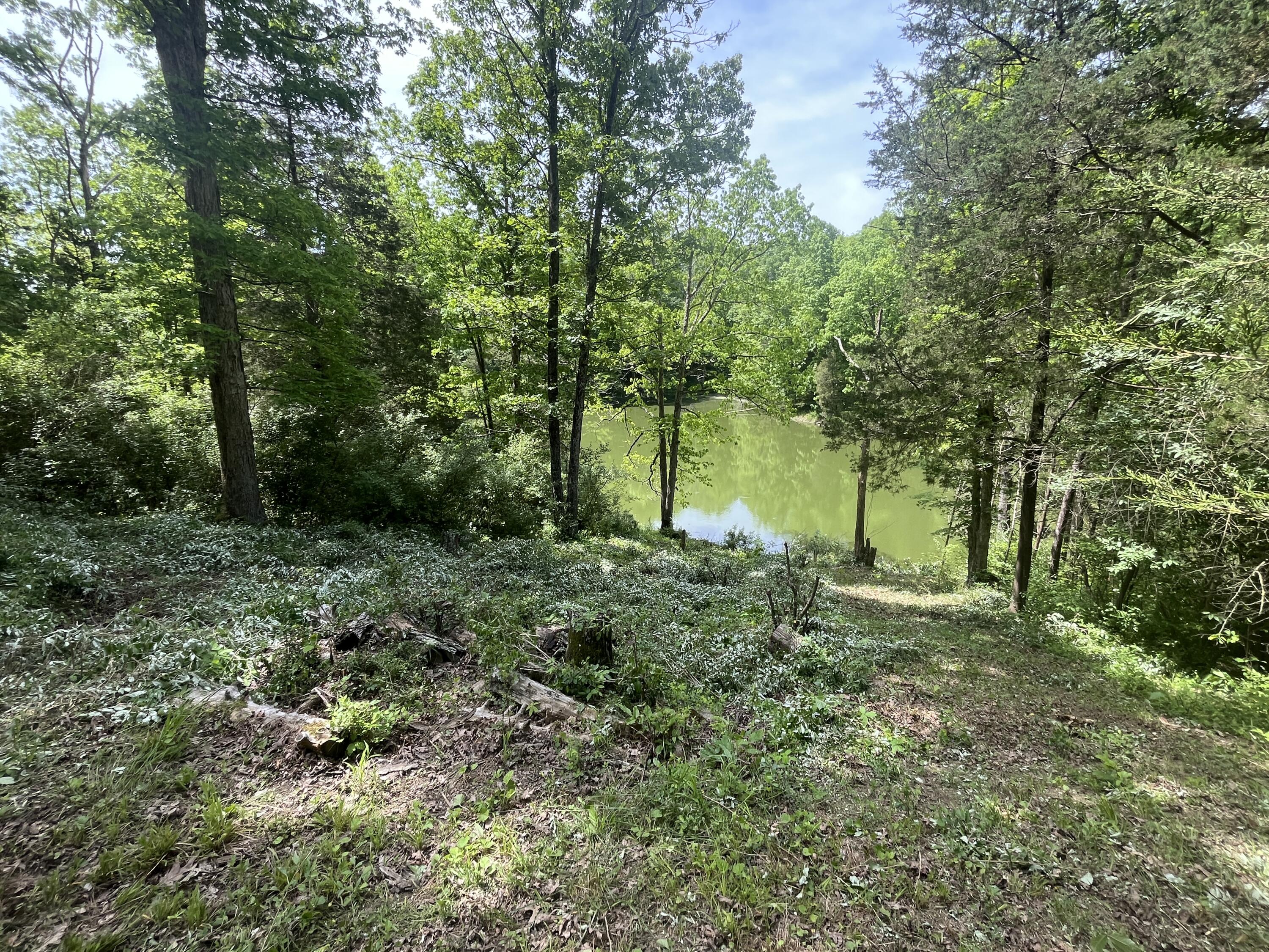 3105 Lots 245-249 Road Owenton, KY 40359 - Photo 44 of 50 IMG_3702 3