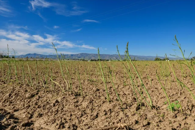 $1,310,000 | 26605 Highway 16, Esparto, CA 95627