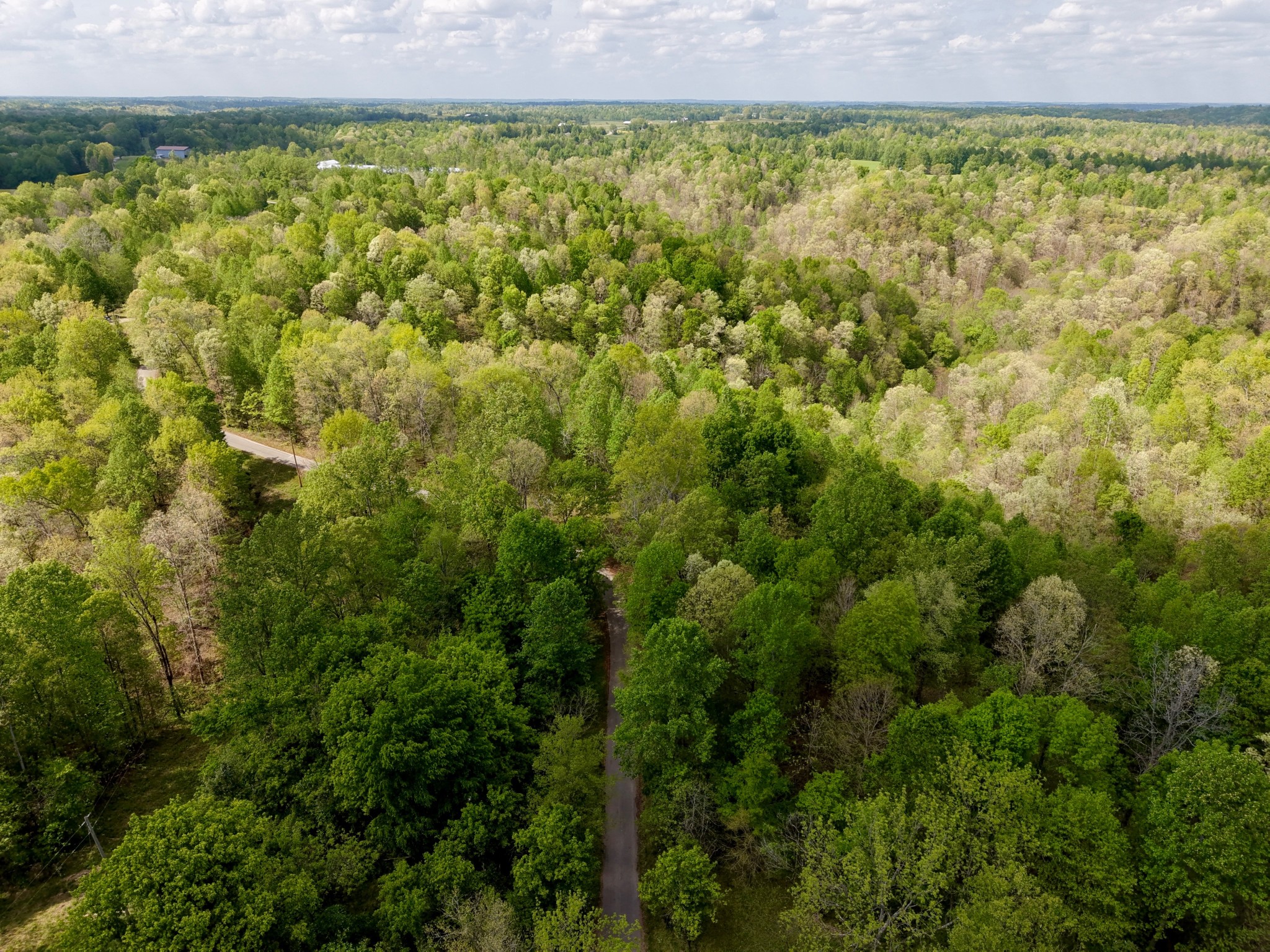 0 North Fork Road Whitleyville, TN 38588 - Photo 11 of 13 a view of a field