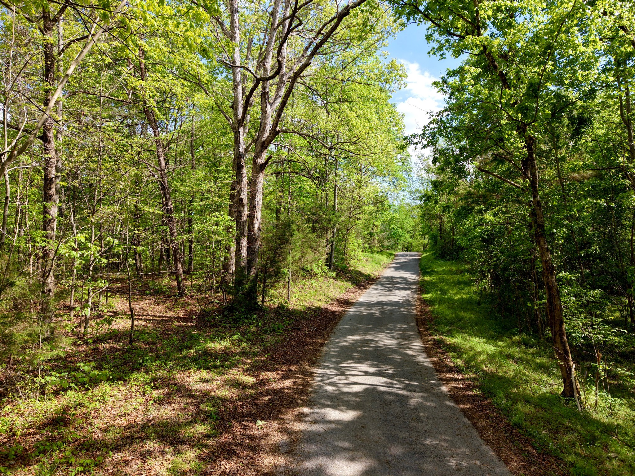 0 North Fork Road Whitleyville, TN 38588 - Photo 13 of 13 a backyard of a house with lots of green space
