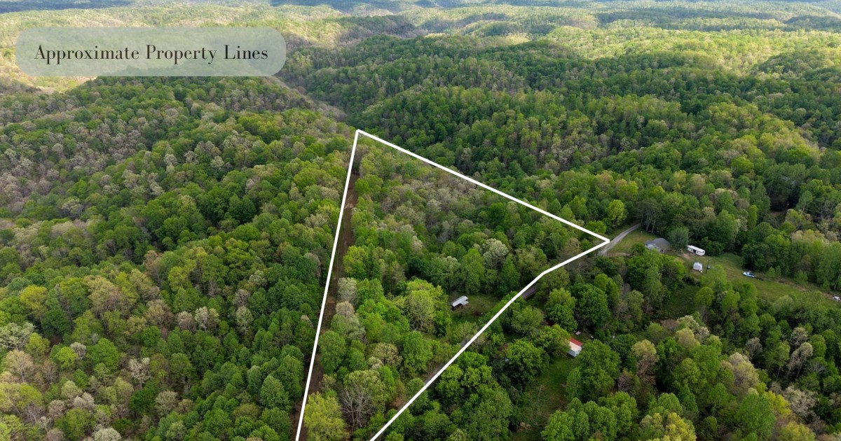 0 North Fork Road Whitleyville, TN 38588 - Photo 2 of 13 a view of a forest