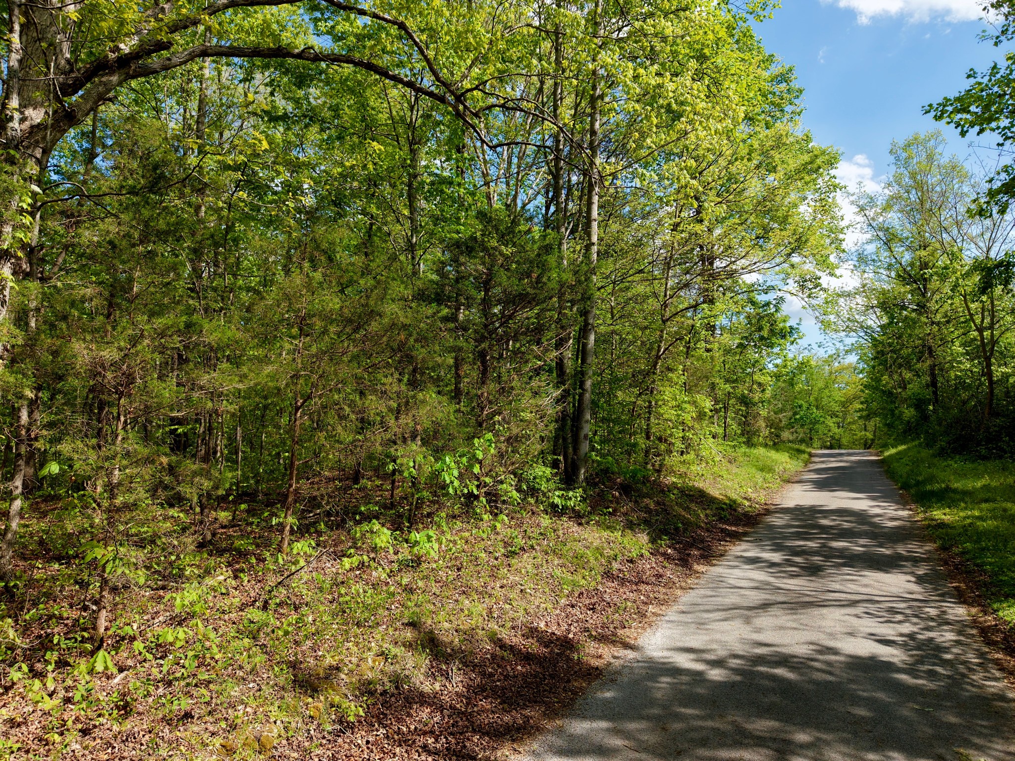 0 North Fork Road Whitleyville, TN 38588 - Photo 4 of 13 a view of a yard with plants and large trees
