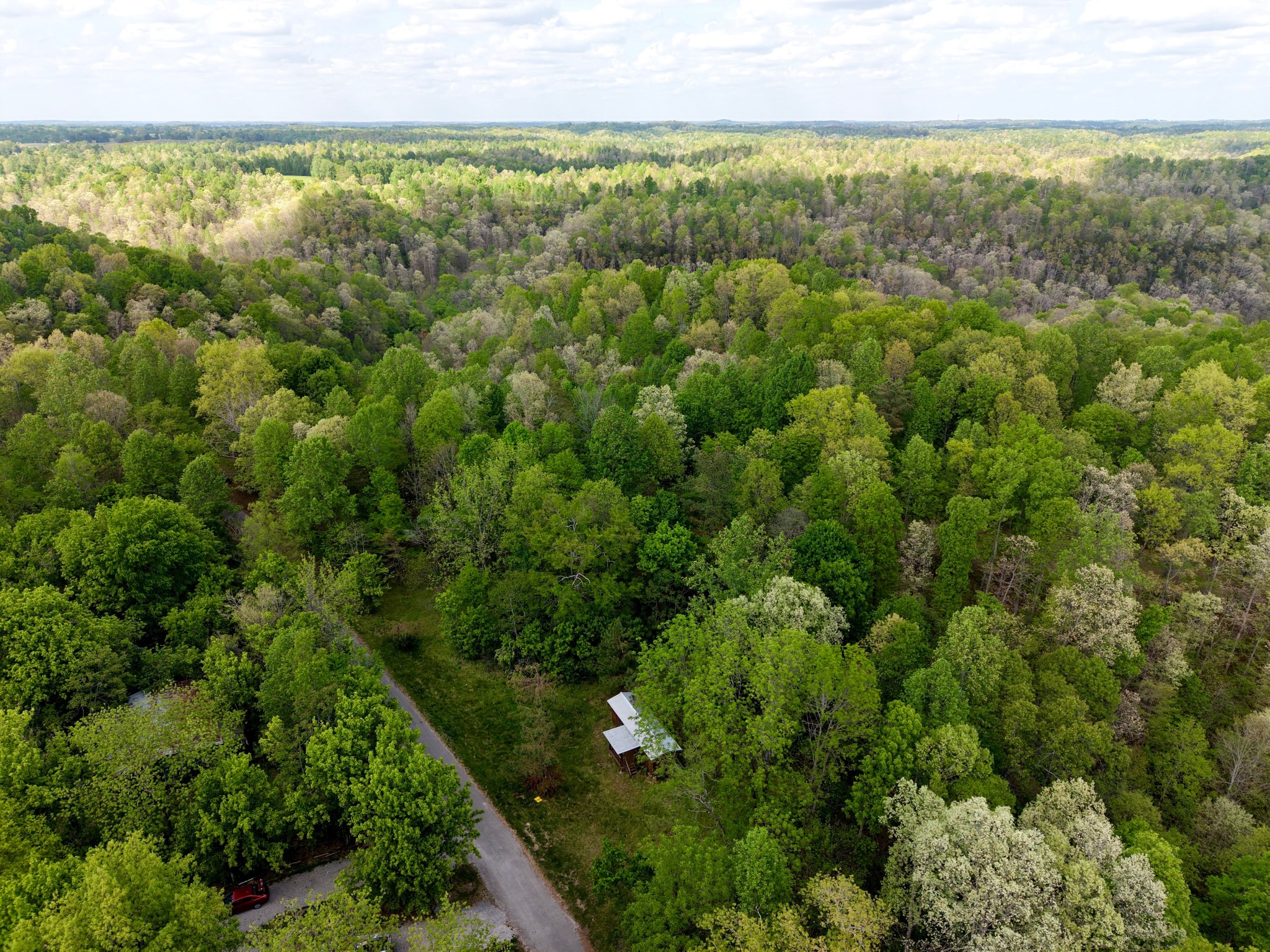 0 North Fork Road Whitleyville, TN 38588 - Photo 8 of 13 a view of a green field with lots of bushes