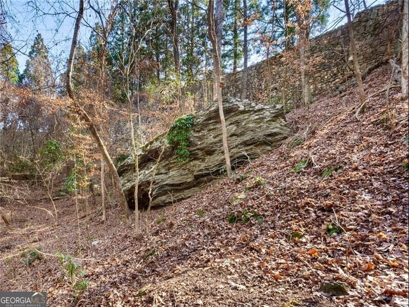 2100 West Wesley Road Northwest Atlanta, GA 30327 - Photo 23 of 42 Trail provides many views