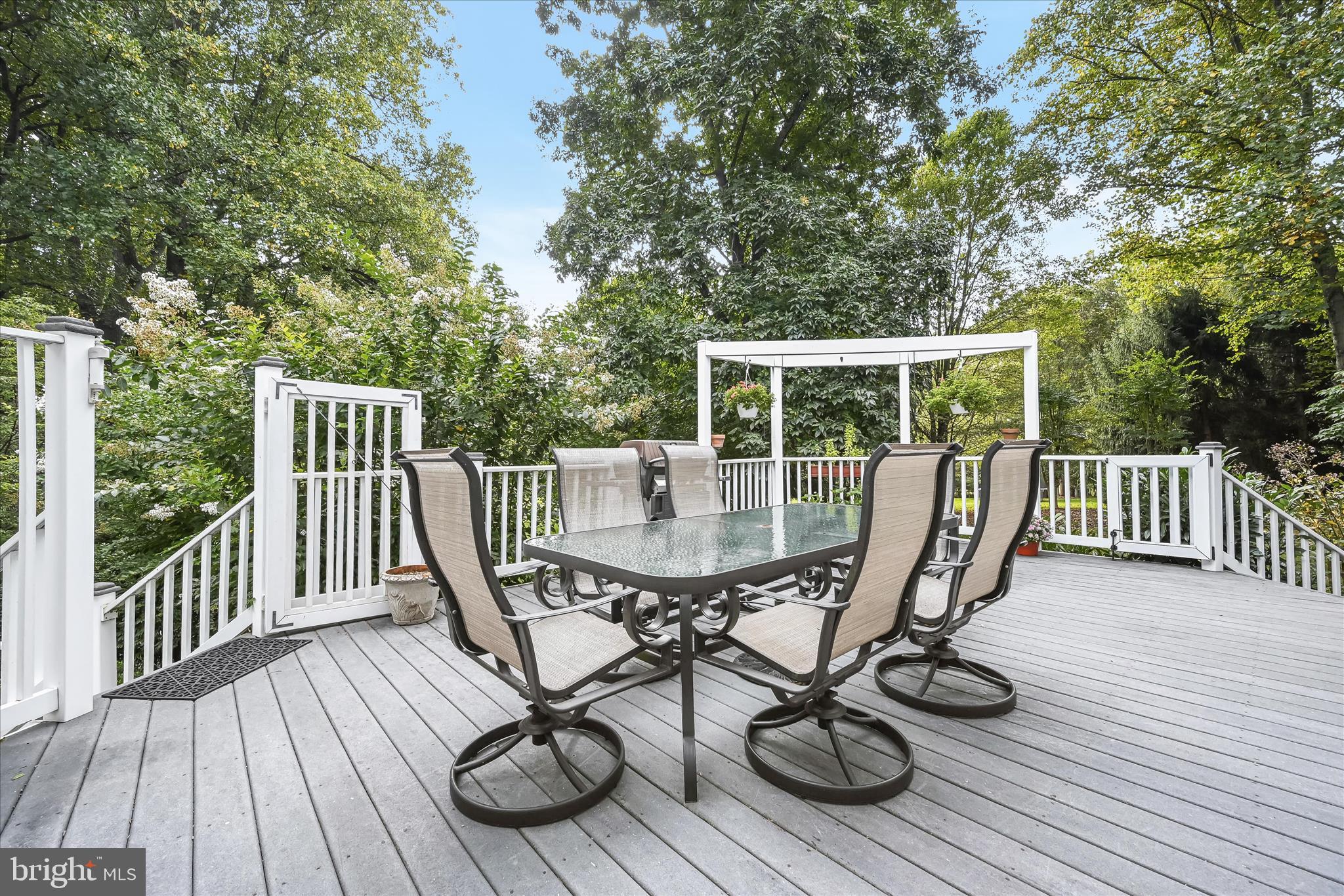 20521 Riggs Hill Way Brookeville, MD 20833 - Photo 10 of 34 Deck overlooking Pool