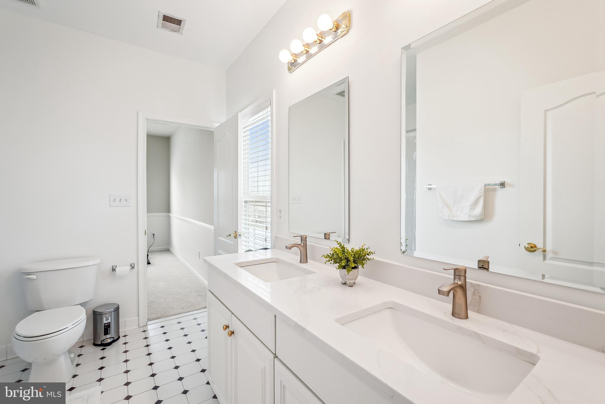 42801 Ridgeway Drive Broadlands, VA 20148 - Photo 36 of 40 a bathroom with a sink a toilet and a large mirror