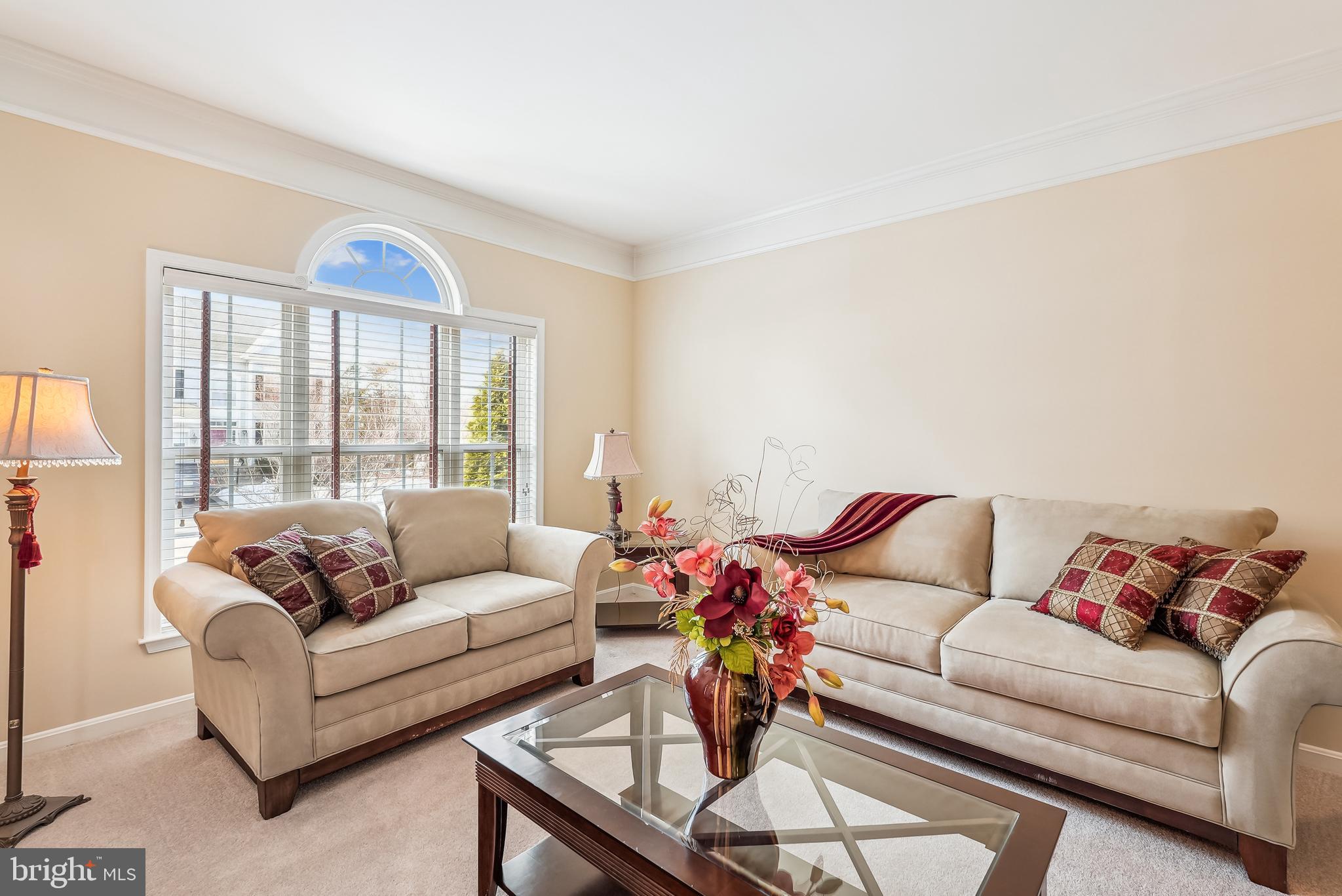 42801 Ridgeway Drive Broadlands, VA 20148 - Photo 6 of 40 a living room with furniture and a large window