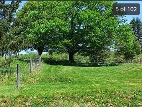 175 Searles Hill Road Bainbridge, NY 13733 - Photo 42 of 50