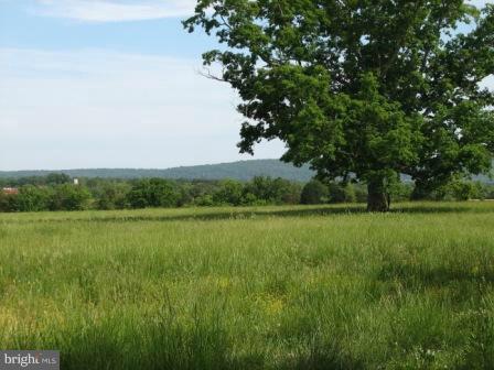 12169 Allaway Road Mitchells, VA 22729 - Photo 2 of 26 View