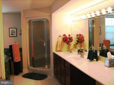 12169 Allaway Road Mitchells, VA 22729 - Photo 16 of 26 Bath (Master)