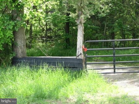 12169 Allaway Road Mitchells, VA 22729 - Photo 25 of 26 View