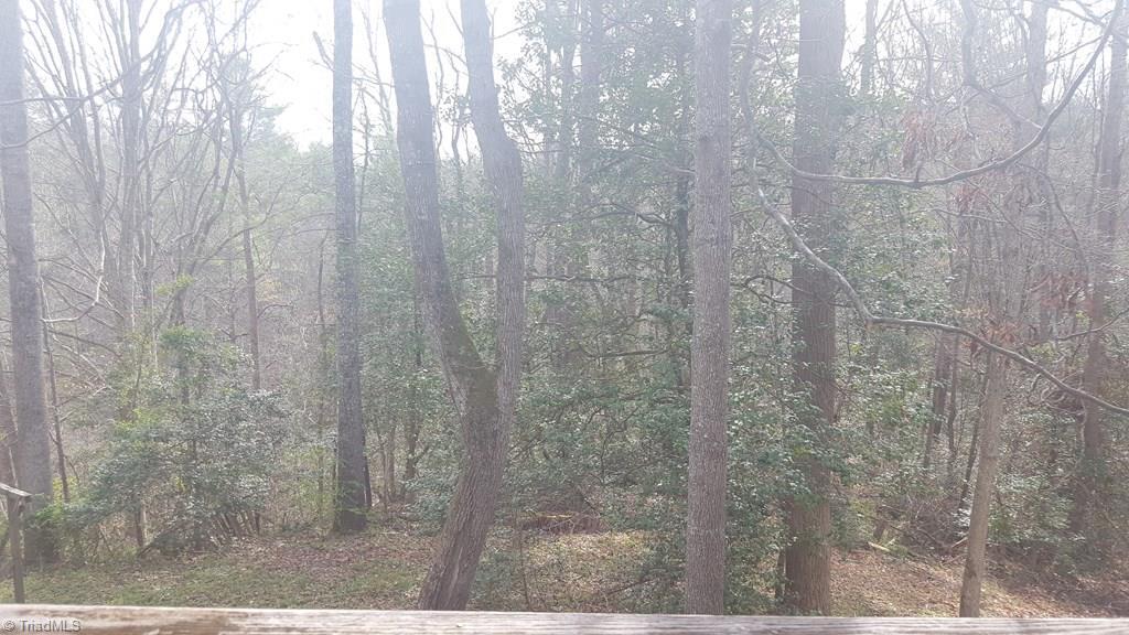 243 Mill Ridge Road North Wilkesboro, NC 28659 - Photo 25 of 26 Gallery Image 25