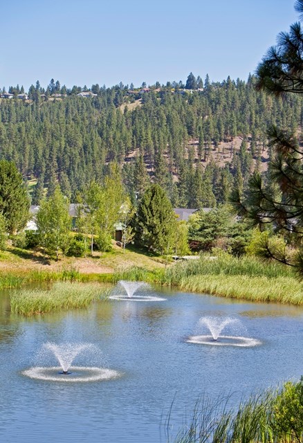 7136 South Pheasant Ridge Drive Spokane, WA 99224 - Photo 13 of 15 Gallery Image 13