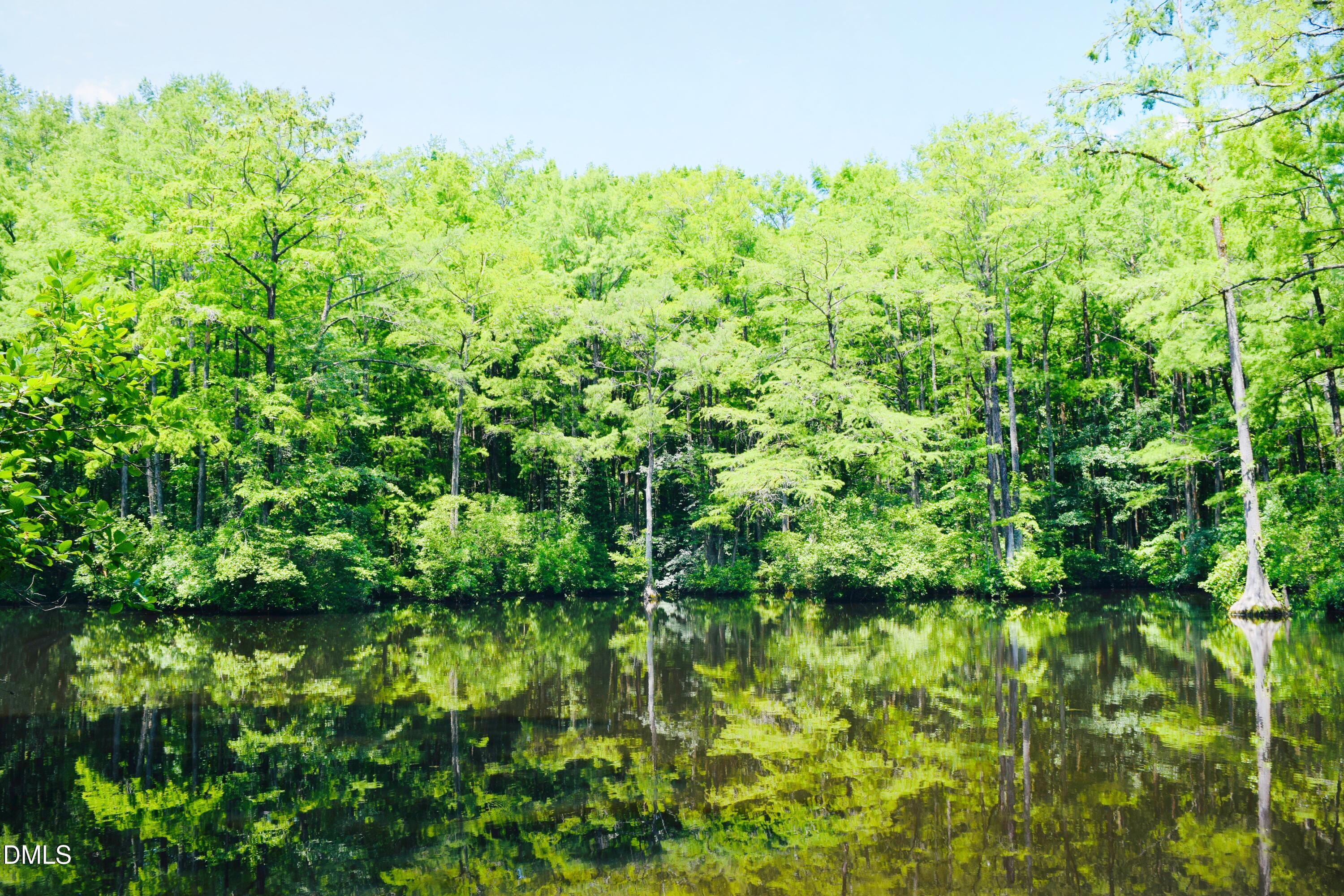 481 Campbell Rdg Place Wendell, NC 27591 - Photo 41 of 46 Robertson Millpond