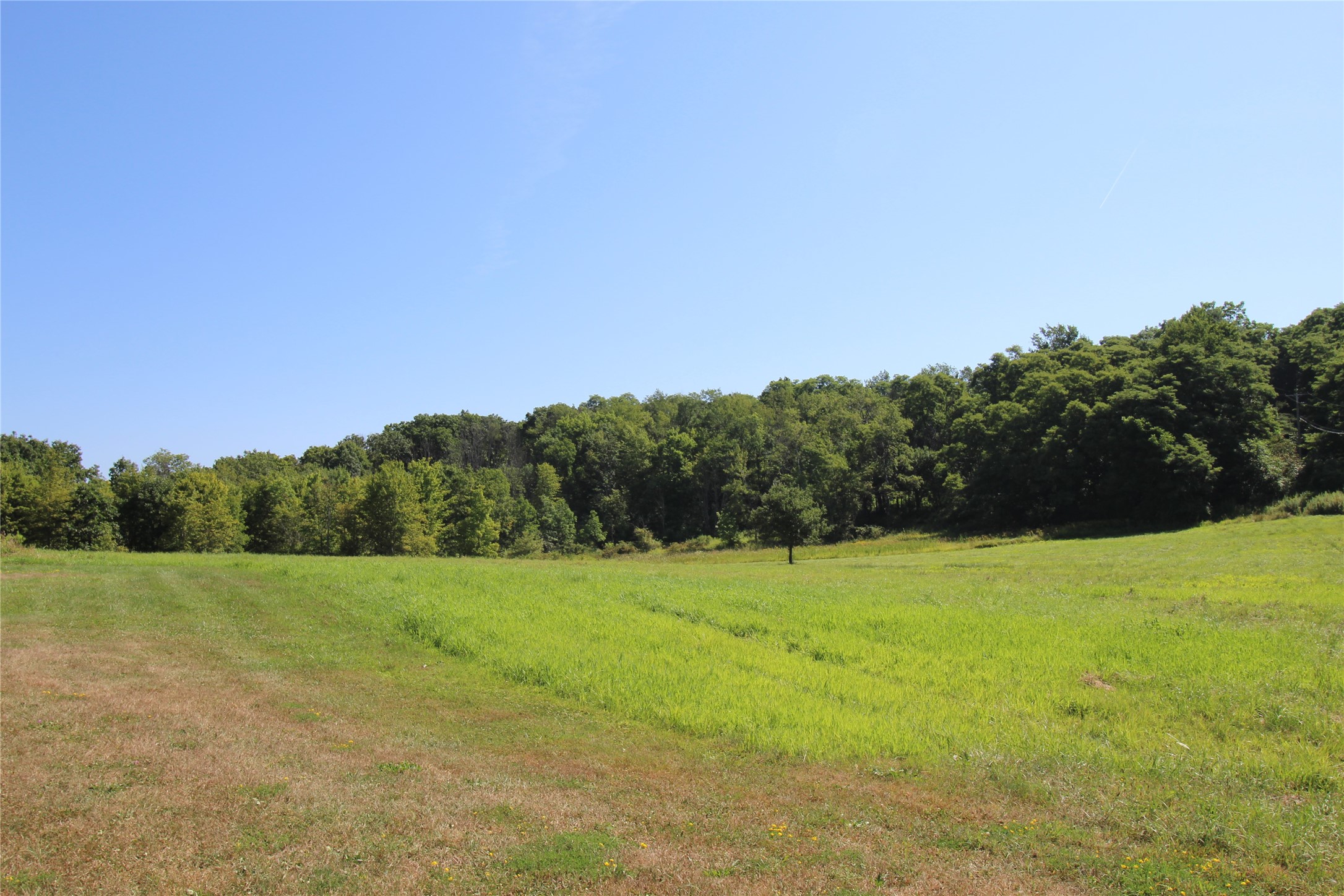 1049 Old State Road Binghamton, NY 13904 - Photo 38 of 45