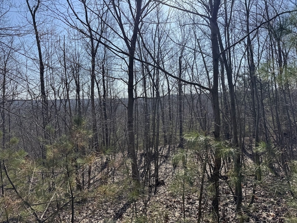 B Brimfield Road Warren, MA 01083 - Photo 2 of 5