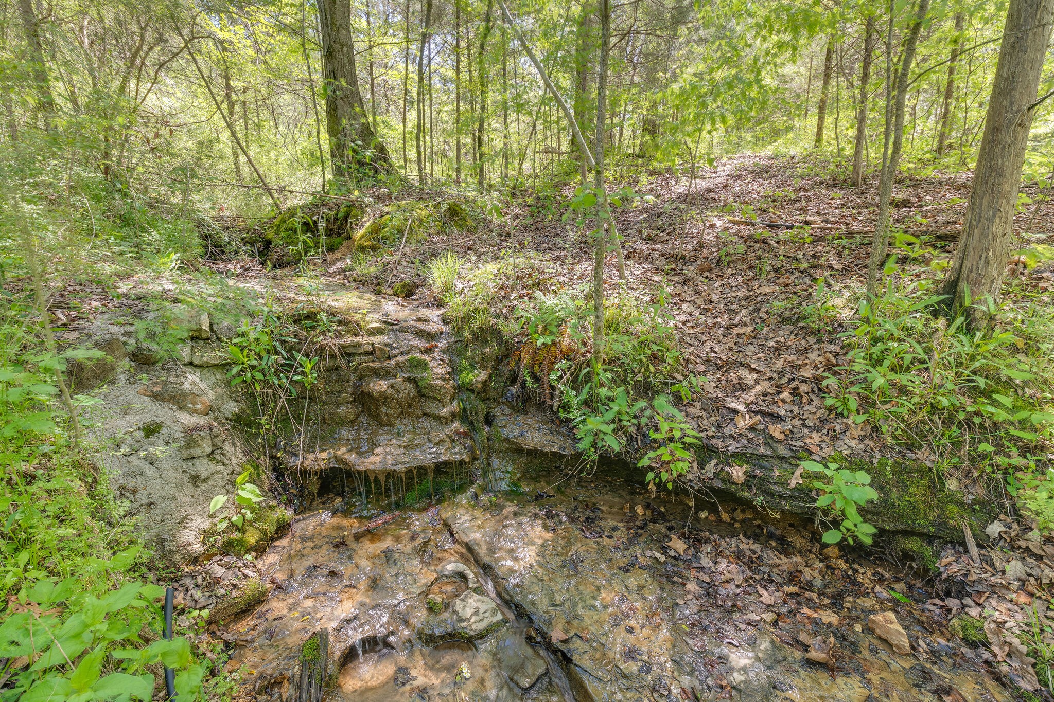 172 Newburg Road Hohenwald, TN 38462 - Photo 31 of 48 Gallery Image 31