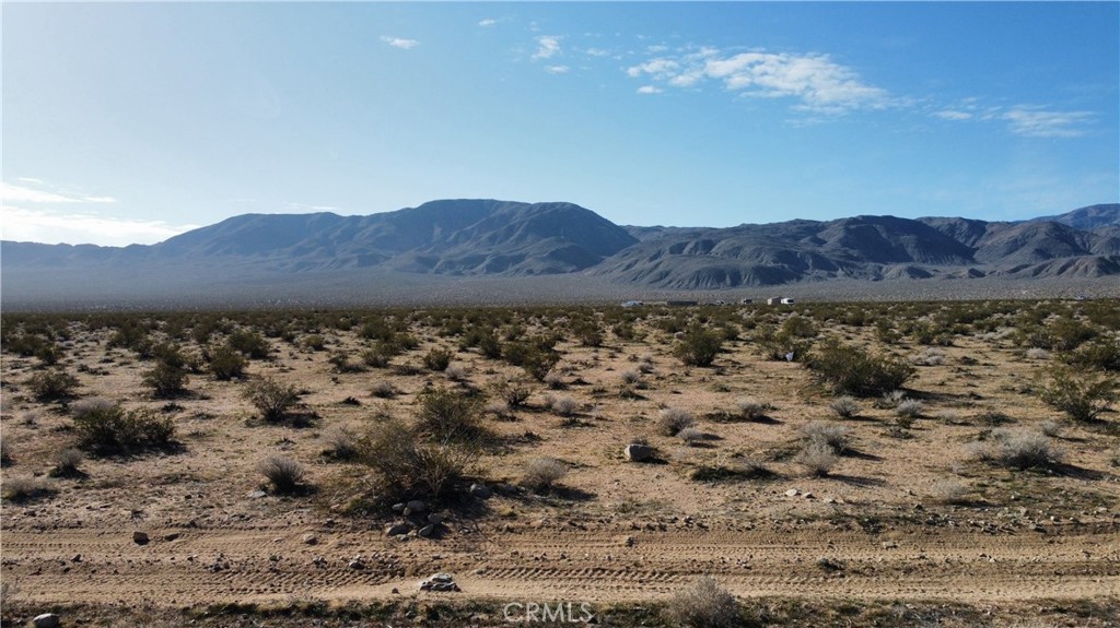 29 Old Woman Springs Road Johnson Valley, CA 92285 - Photo 8 of 9 Gallery Image 8