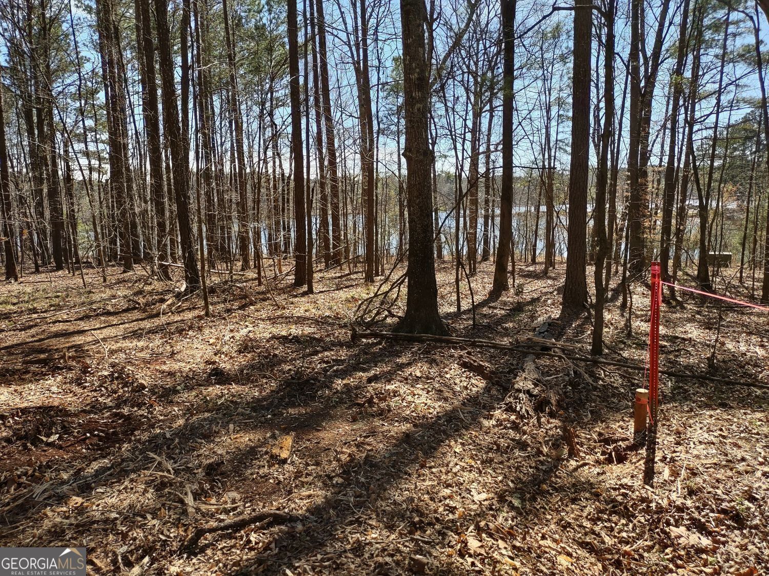 0 Panhandle Road, Unit LOT 4 Hampton, GA 30228 - Photo 26 of 39 Gallery Image 26