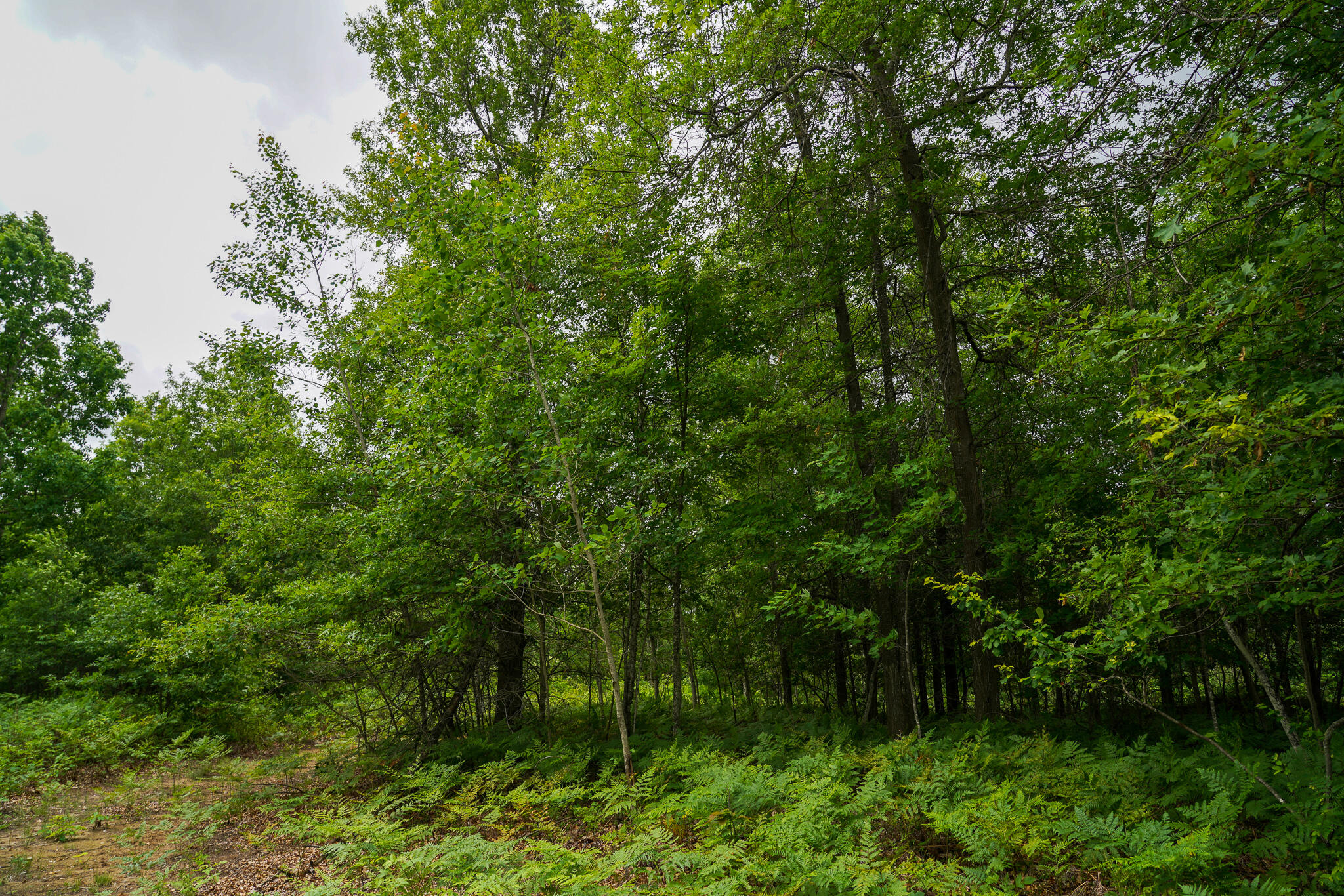 West Gordonville Road Shepherd, MI 48883 - Photo 15 of 24 15