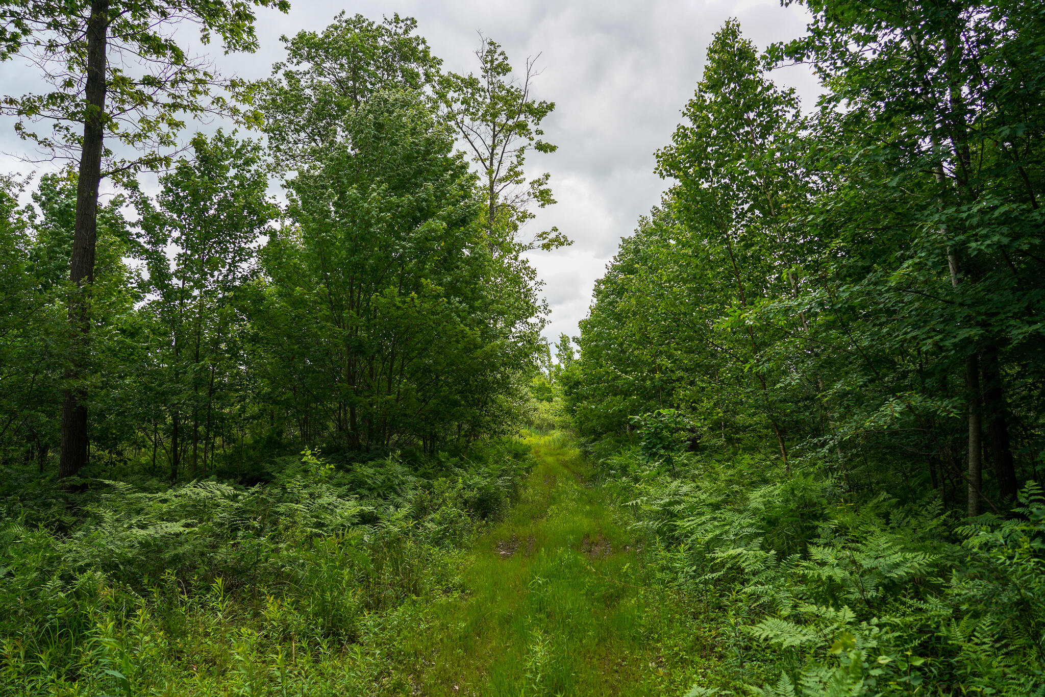West Gordonville Road Shepherd, MI 48883 - Photo 18 of 24 18