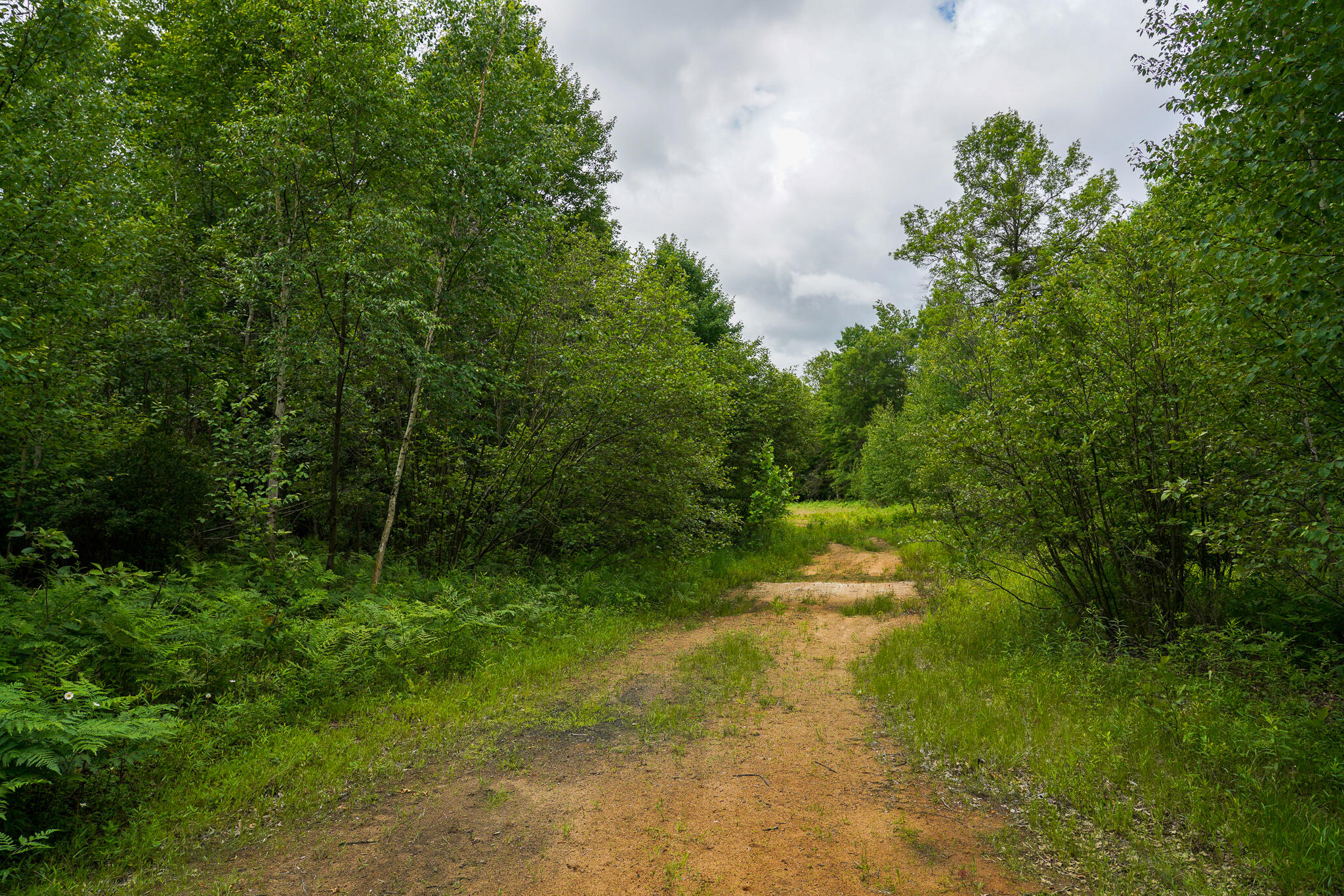 West Gordonville Road Shepherd, MI 48883 - Photo 3 of 24 3