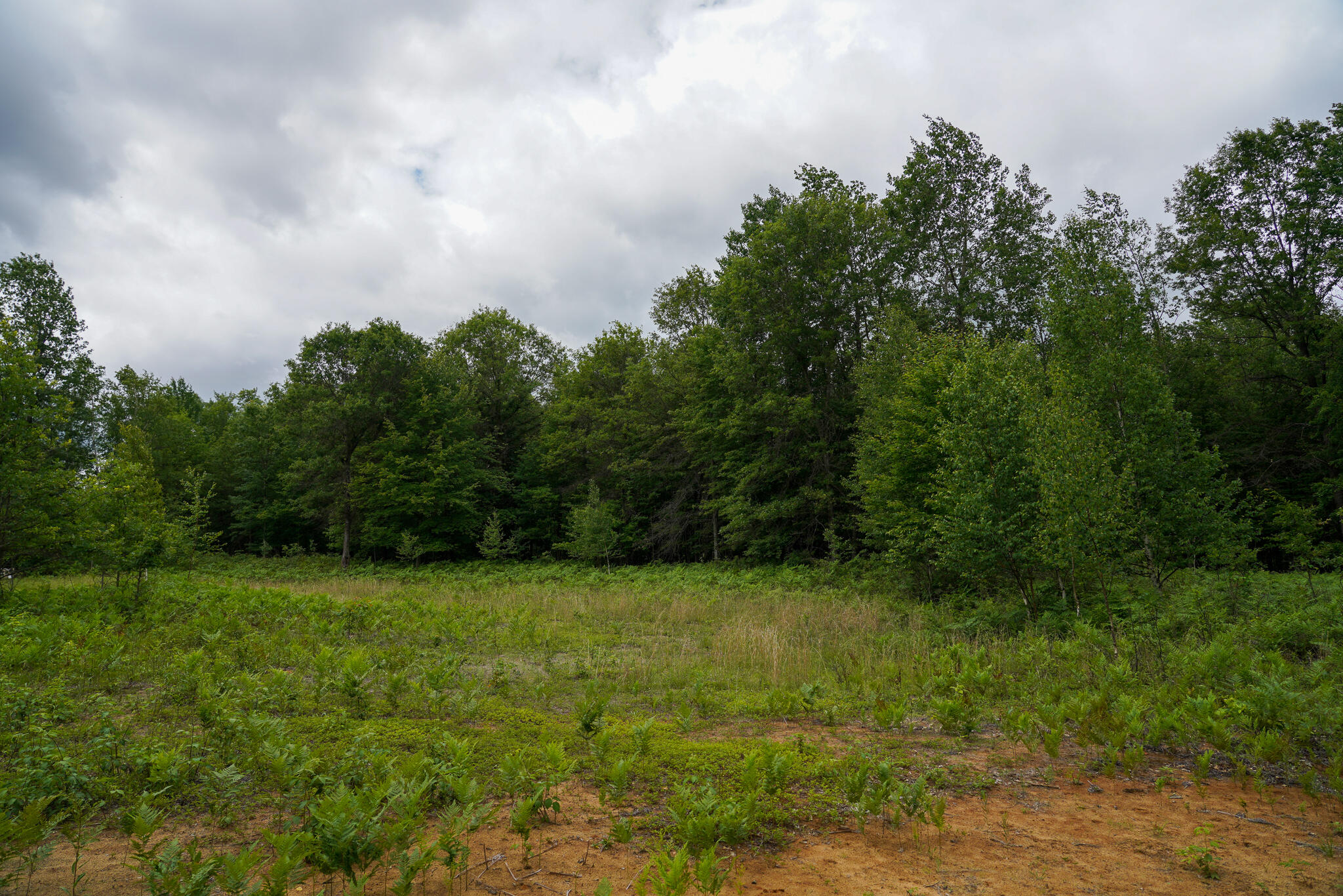 West Gordonville Road Shepherd, MI 48883 - Photo 4 of 24 4
