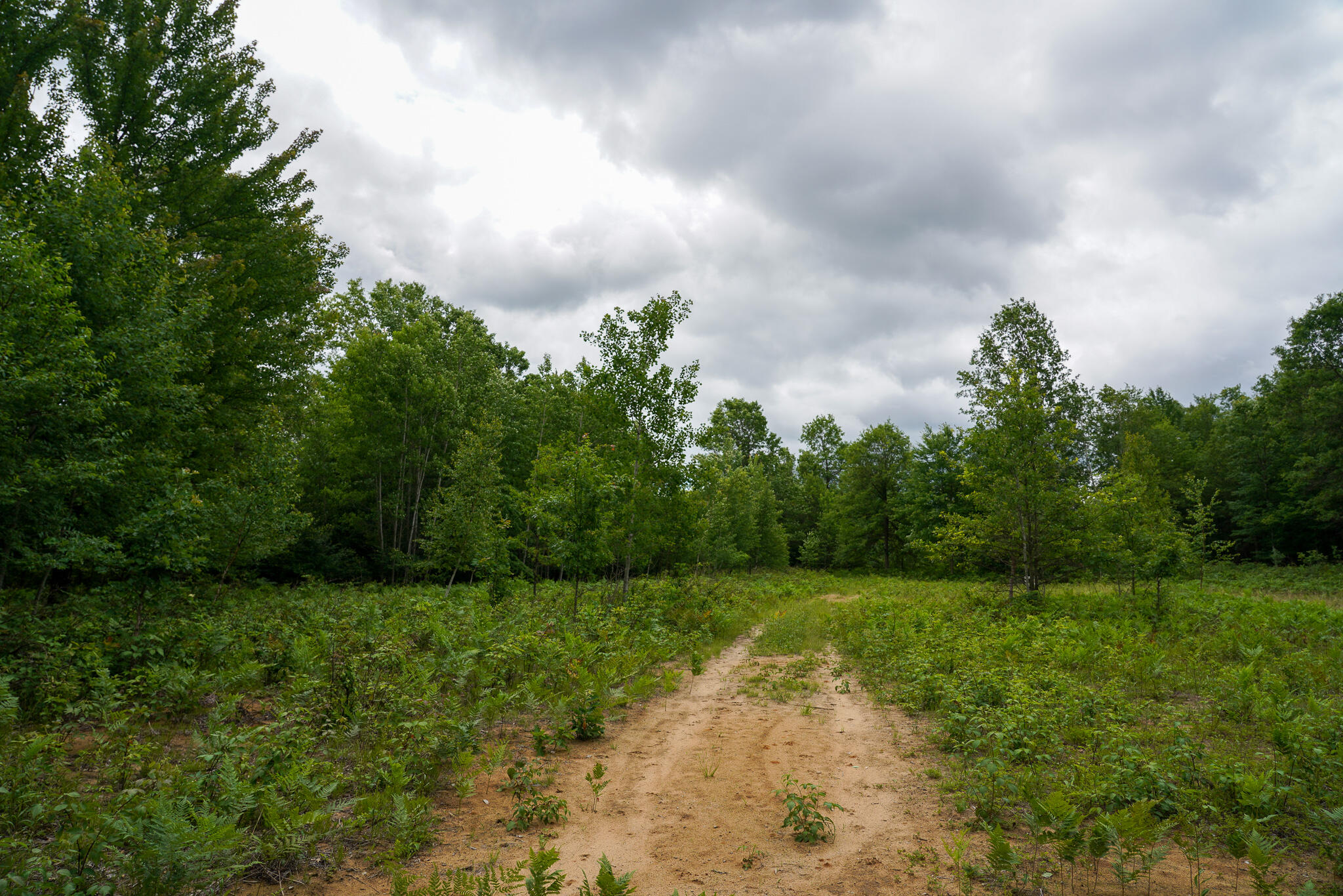West Gordonville Road Shepherd, MI 48883 - Photo 5 of 24 5