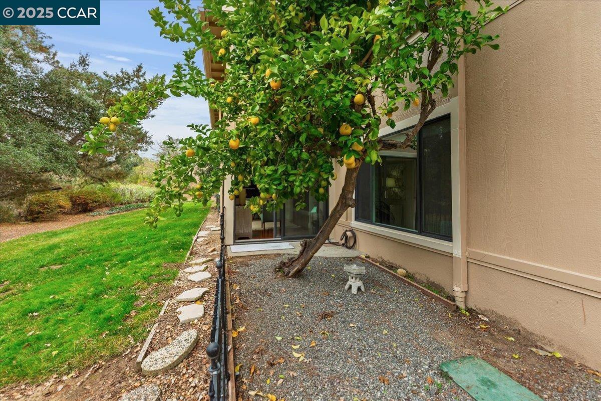 1857 Golden Rain Road, Unit 2 Walnut Creek, CA 94595 - Photo 16 of 39 a view of a park with large trees
