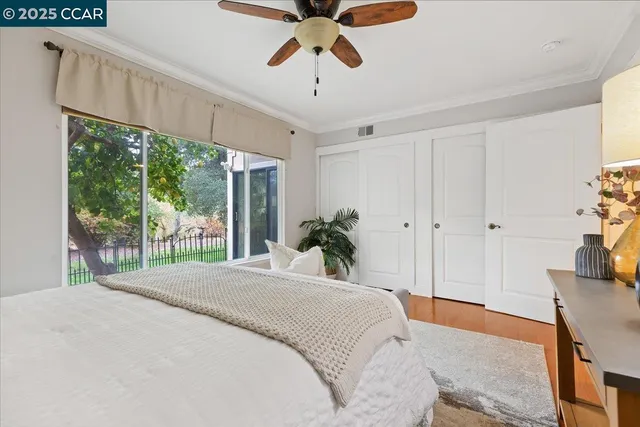 a room with wooden floor and a potted plant