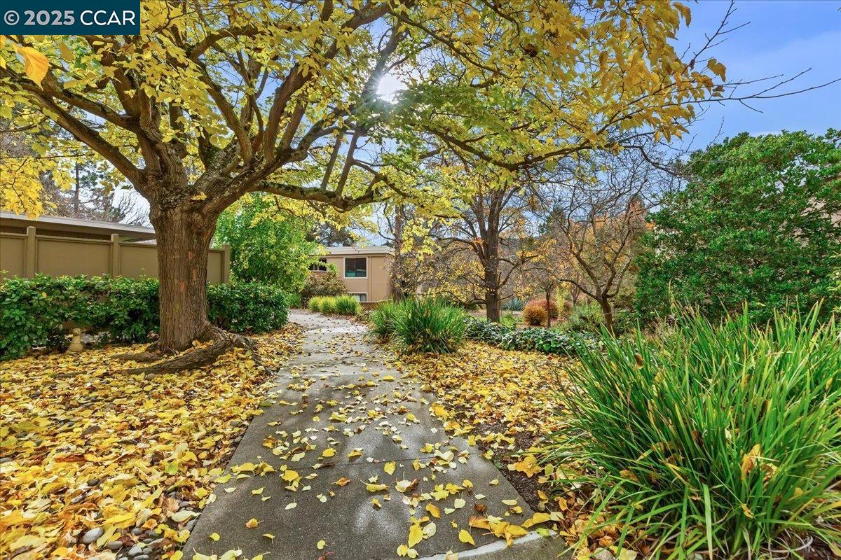 1857 Golden Rain Road, Unit 2 Walnut Creek, CA 94595 - Photo 32 of 39 a pathway of a house with a yard