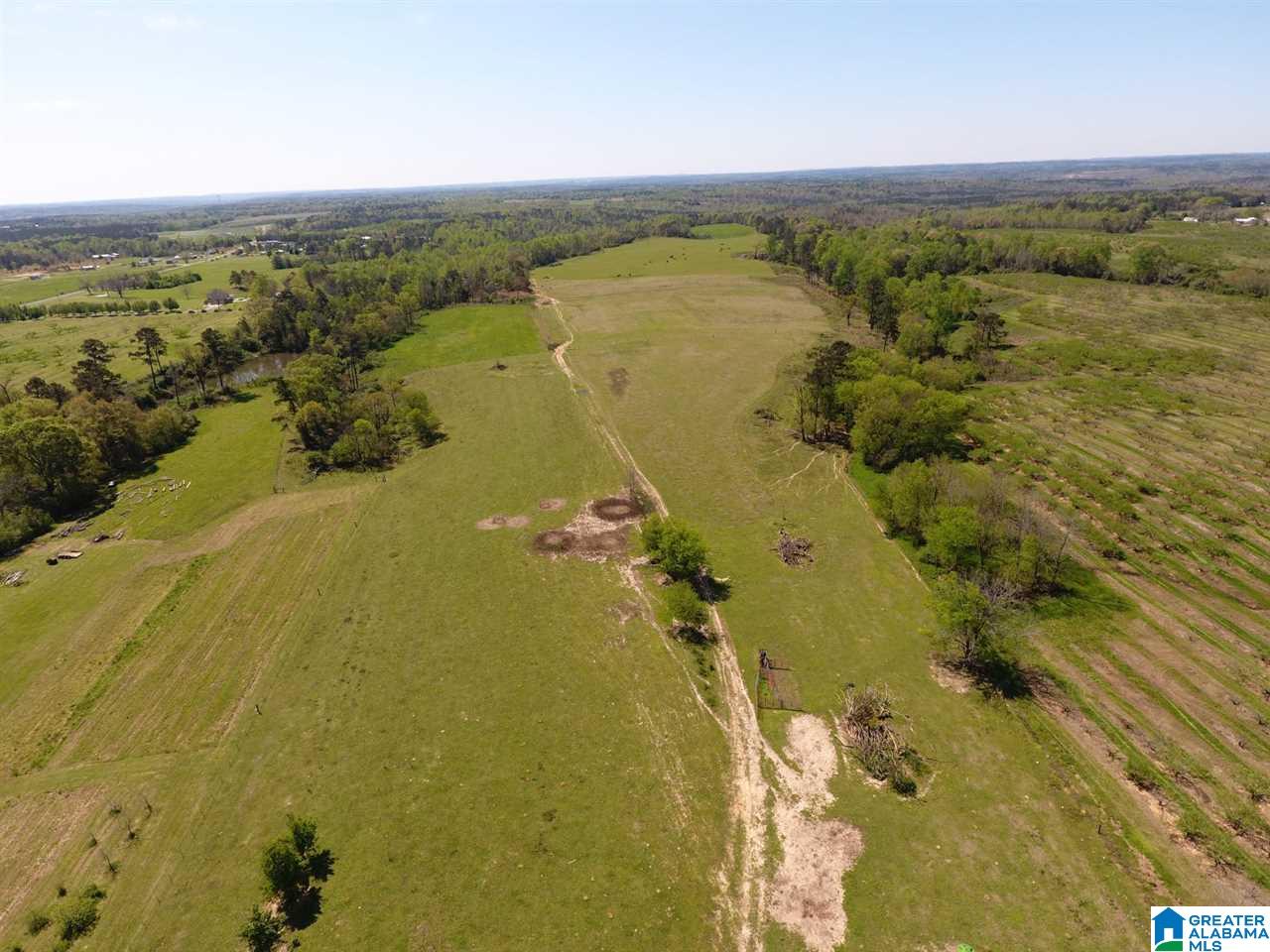 0 County Road 30, Unit 1 Clanton, AL 35045 - Photo 16 of 32