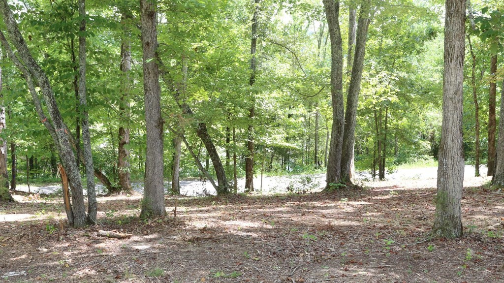 191 Waterview Dr. Spring City, TN 37381 - Photo 10 of 14 Gallery Image 10