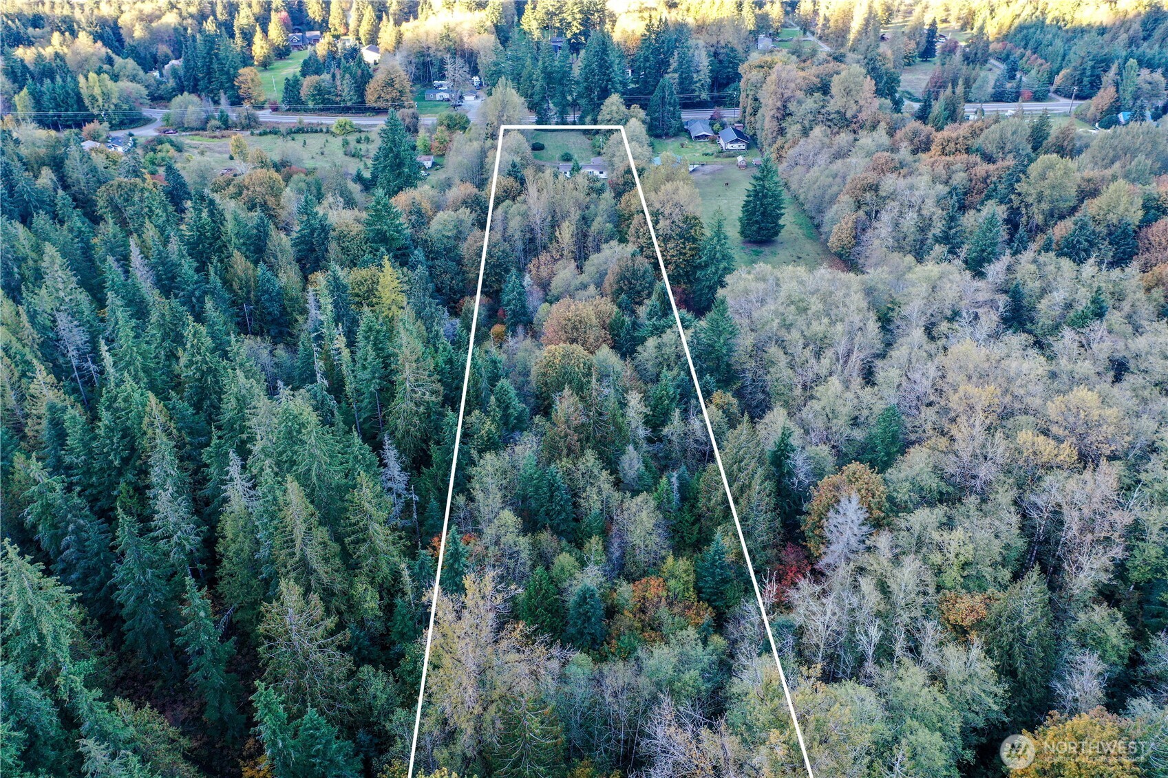 37402 State Rte 530 Northeast Arlington, WA 98223 - Photo 11 of 11 a view of a forest with a street