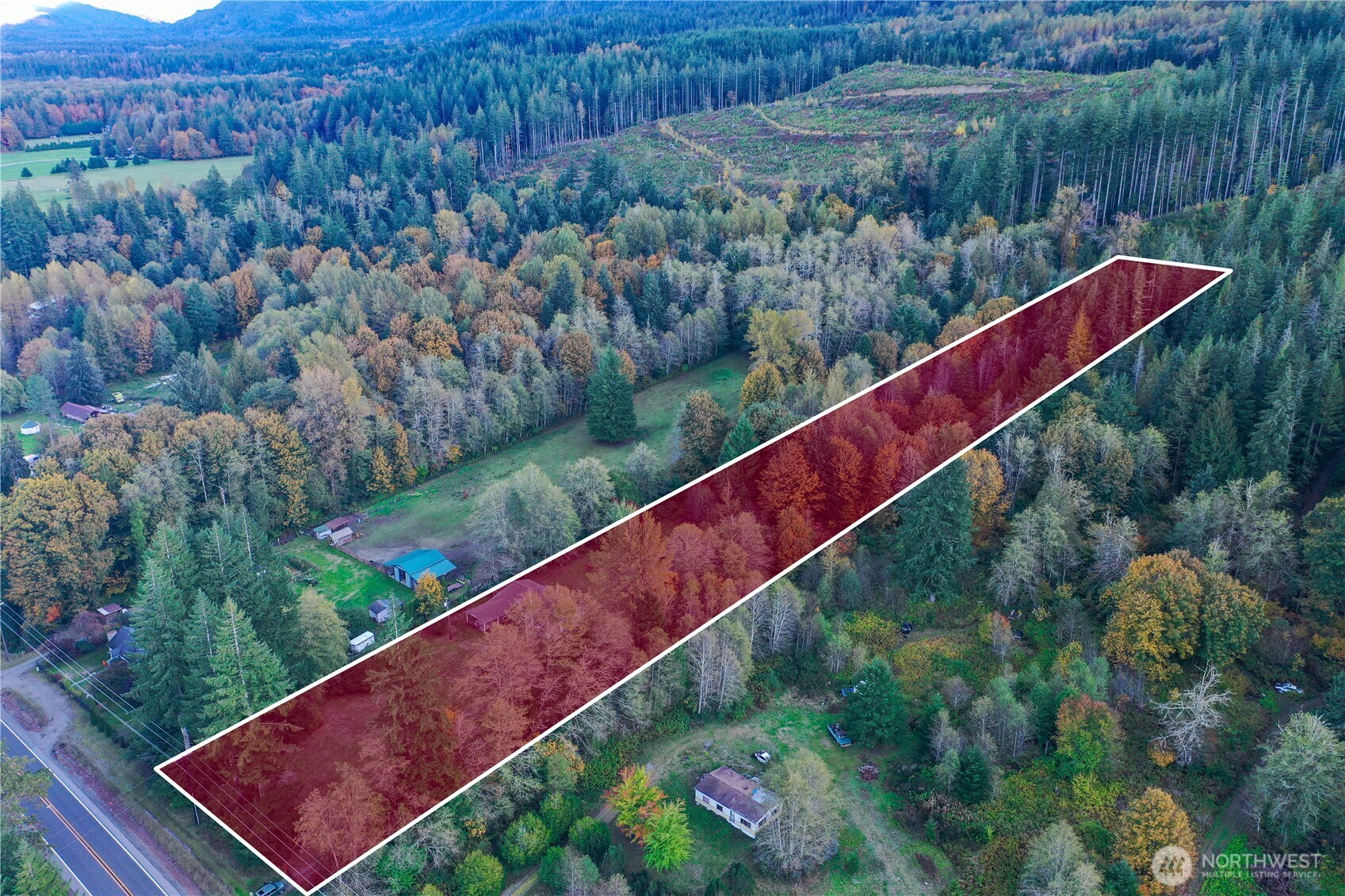 37402 State Rte 530 Northeast Arlington, WA 98223 - Photo 6 of 11 a view of a yard with a lush green forest