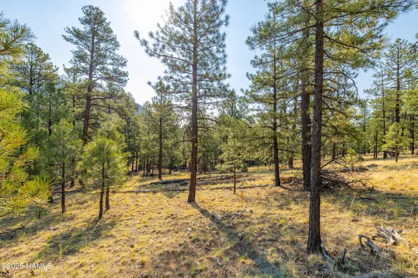 $800,000 | 4195 North Subera Lane, Flagstaff, AZ 86001