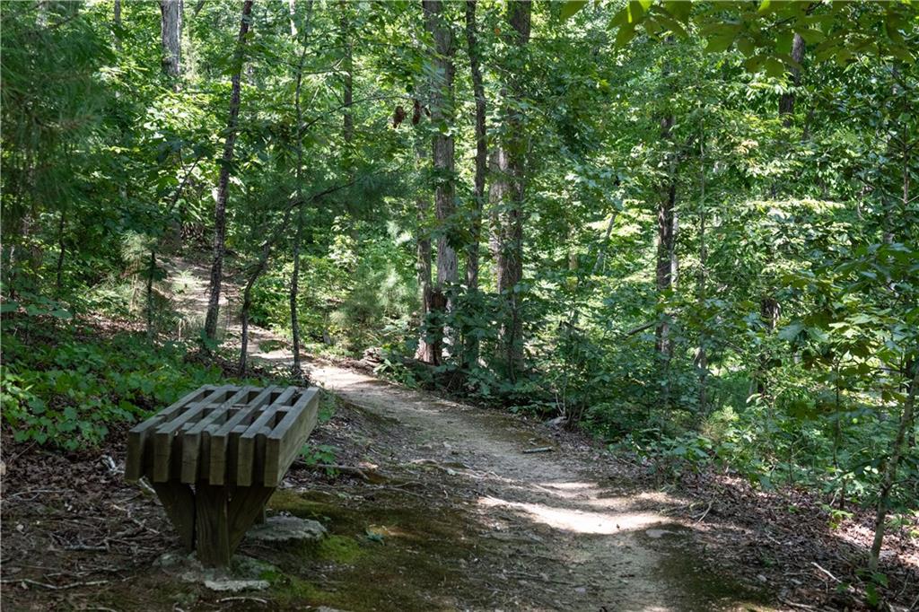 13585 Wood Fern Way Roswell, GA 30075 - Photo 12 of 12 a view of a backyard with plants and trees