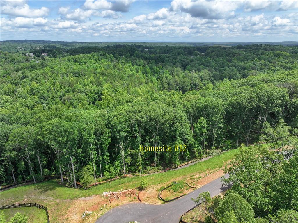 13585 Wood Fern Way Roswell, GA 30075 - Photo 2 of 12 a view of a yard with a garden